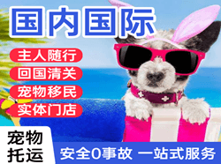 海西花土沟航空邮寄国际宠物托运 【国